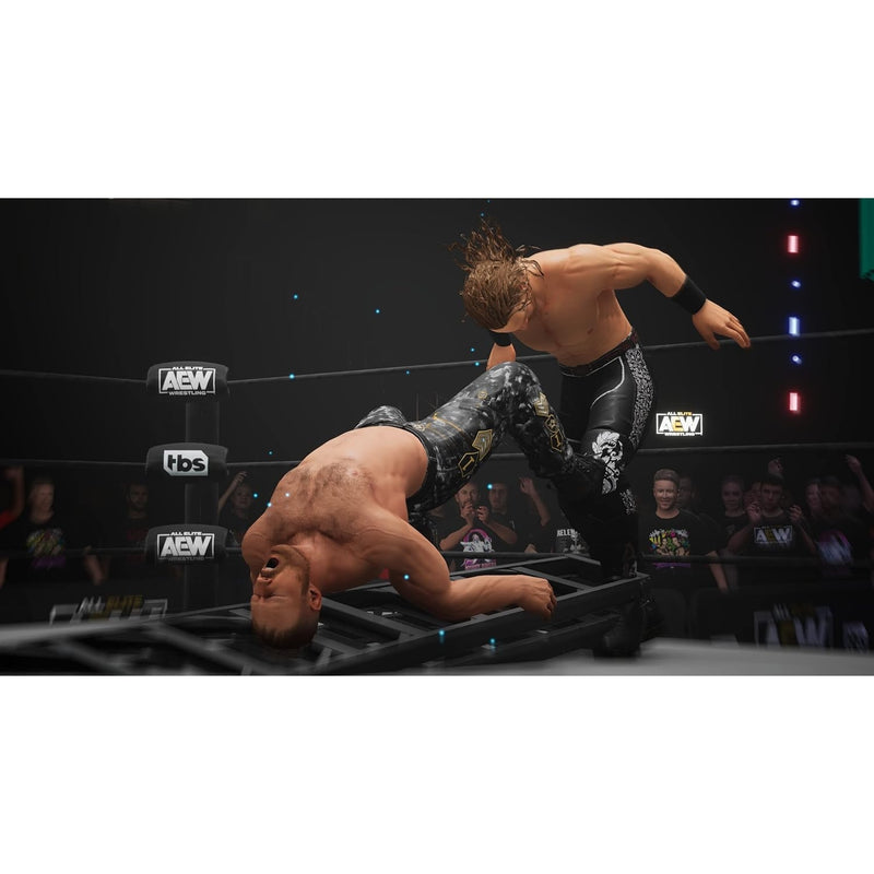 AEW All Elite Wrestling: Fight Forever Sony PlayStation 5