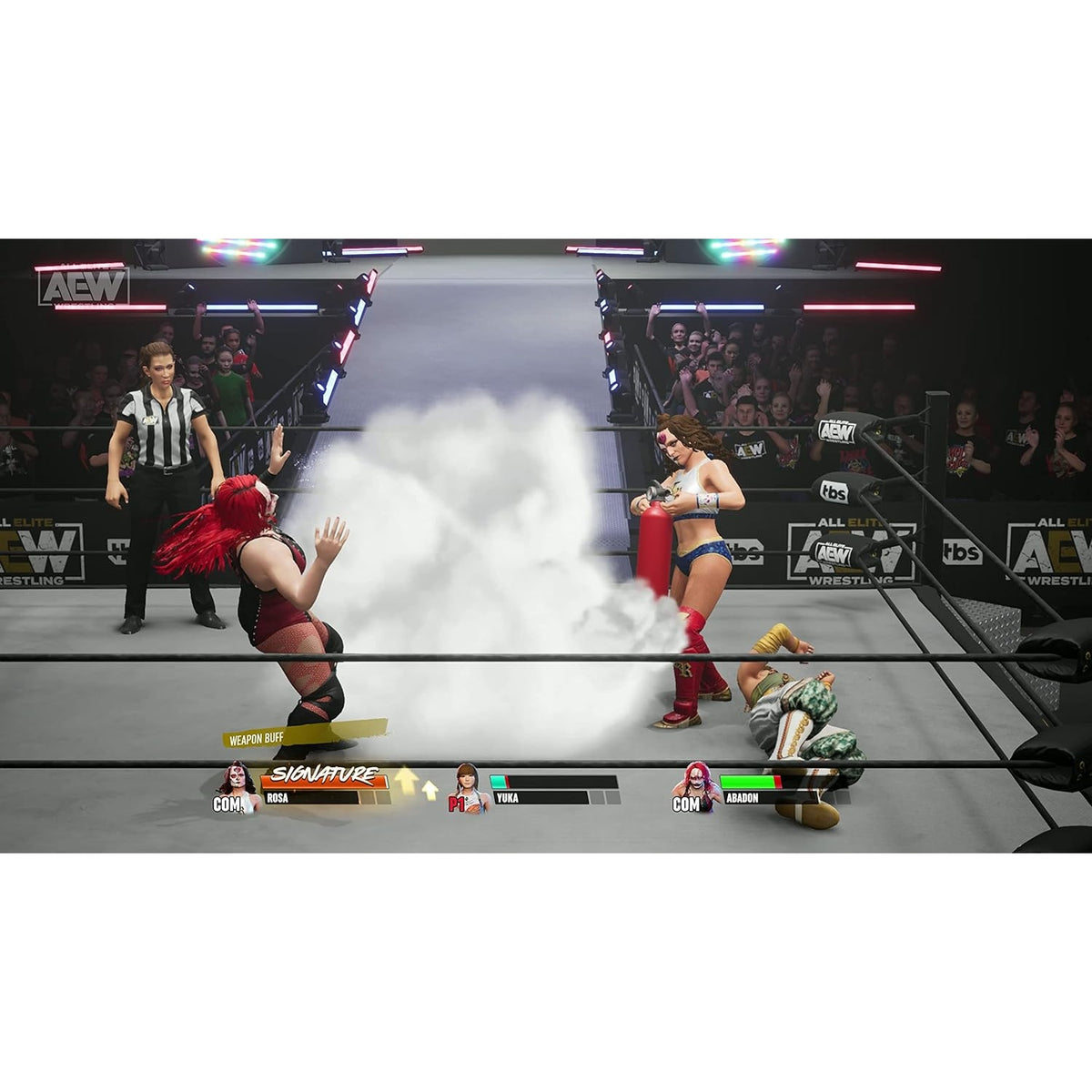 AEW All Elite Wrestling: Fight Forever Sony PlayStation 5