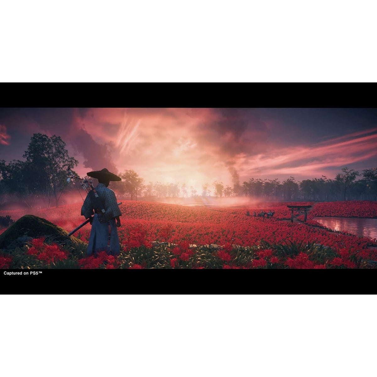 Ghost Of Tsushima Director's Cut Sony PlayStation 4