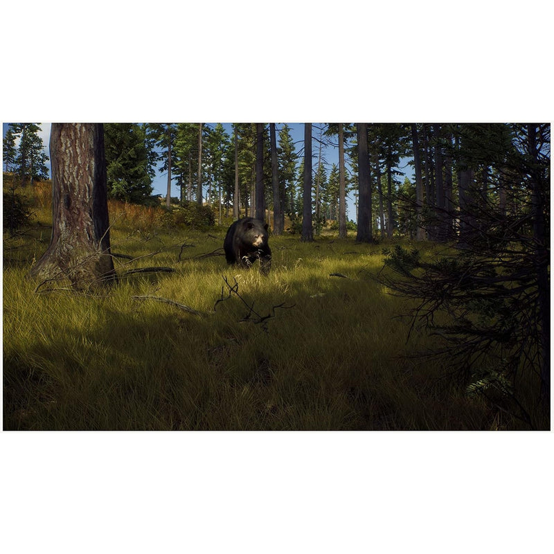 Way Of The Hunter Xbox Series X