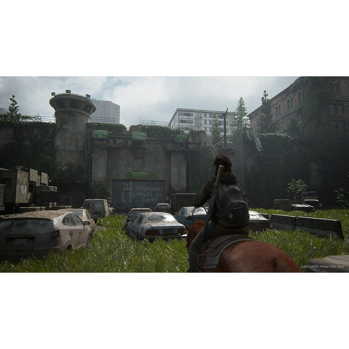 The Last of Us Part II - PS4 Games