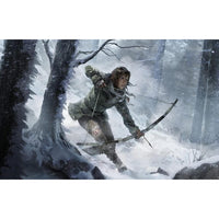 Rise Of The Tomb Raider: 20 Year Celebration Sony PlayStation 4