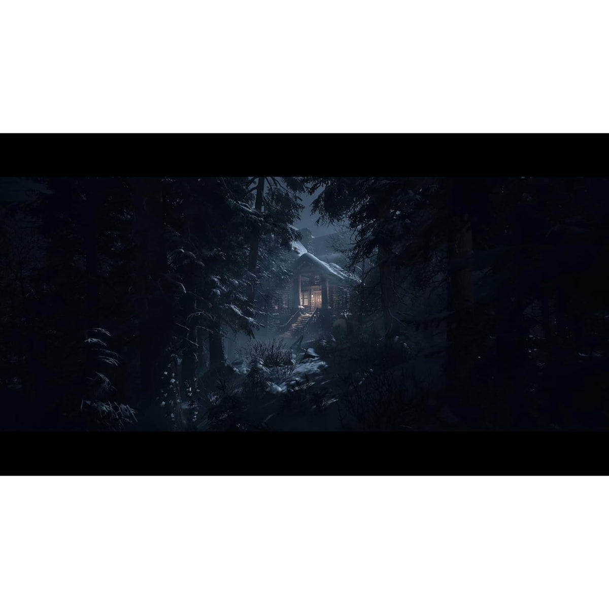 Until Dawn Sony Playstation 5